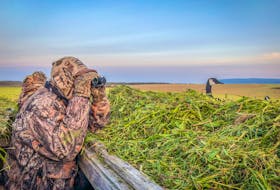 Searching for big Honkers with tiny binoculars - Chris Fowler