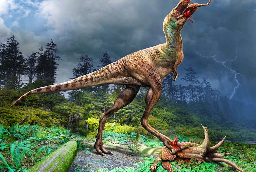 A juvenile Gorgosaurus, a meat-eating dinosaur that lived 75 million years ago during the Cretaceous Period in what is now Canada's Alberta province, consumes a small dinosaur called Citipes in this illustration obtained by Reuters on December 7, 2023. Julius Csotonyi and Royal Tyrrell Museum of Palaeontology/Handout via REUTERS