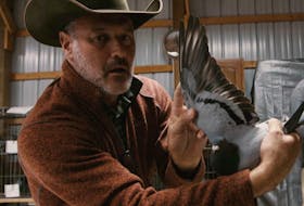 For those who fancy pigeon fanciers; a scene from Million Dollar Pigeons.