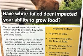 The poster which can be found around town to encourage people to take part in Adrian Bent’s deer survey.