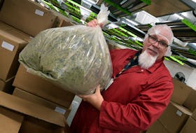 Brian Keating, CEO of Argentia Gold, holds a bag of cannabis in a storage vault at the production facility in Argentia.

Keith Gosse/The Telegram
