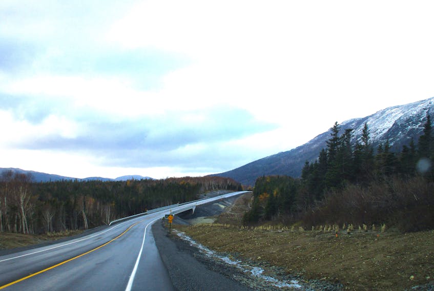 Dick's Brook Bridge in Gros Morne National Park. Johnson's Construction of Corner Brook is facing charges under the province's Occupational Health and Safety Act in relation to a workplace accident during construction of the bridge in March 2020.