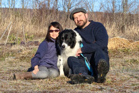 'We got super lucky': Sheffield Mills, N.S., family reunited with dog after Blue was missing for more than 400 days