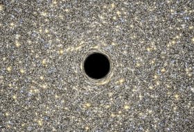 This is an illustration of a supermassive black hole, weighing as much as 21 million suns, located in the middle of the ultra-dense galaxy M60-UCD1. The dwarf galaxy is so dense that millions of stars fill the sky as seen by an imaginary visitor. Because no light can escape from the black hole, it appears simply in silhouette against the starry background. Image courtesy of NASA Image and Video library