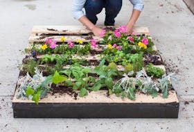 Using pallets is a creative way to approach container gardening by creating vertical beds or repurposing the wood to build raised beds, but ensure it's a food-safe pallet.