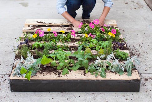 Using pallets is a creative way to approach container gardening by creating vertical beds or repurposing the wood to build raised beds, but ensure it's a food-safe pallet.