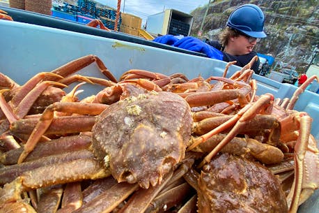 Crab stocks remain strong in most N.L. fishing zones, according to latest Fisheries and Oceans assessment