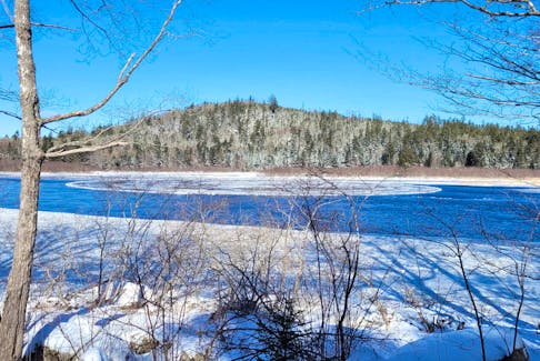 Shelly Way captured a large ice disk on the Musquodoboit River near Musquodoboit Harbour, N.S.