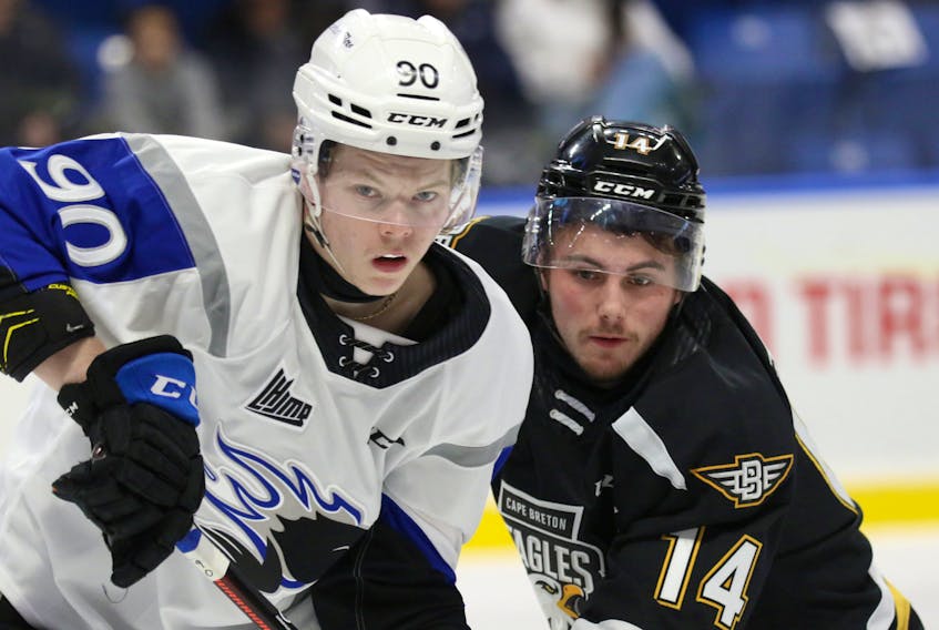 Fewer squads have even been more active during a trade period than the Saint John Sea Dogs were in 2021-22 when they hosted the 2022 Memorial Cup, adding seven regular roster players. It's not surprising the price for their Memorial Cup parade is a current spot at the bottom of the QMJHL standings, writes Patrick McNeil. CONTRIBUTED