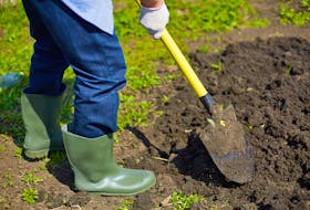 Knowing your soil is important to ensure gardening success. - Storyblocks