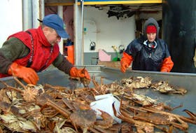 Snow crab for the 2023 are already coming to market. In January harvesters in Alaska started fishing tanner crab, which are marketed as snow crab. Their starting price for this season is $3.25 a pound (U.S.) a 60 percent drop from last season's starting price of $8.
