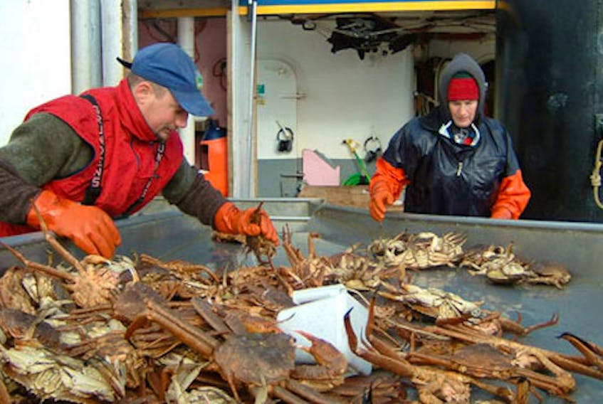 Snow crab prices down by nearly 60 per cent in U.S. market, seafood analyst  says