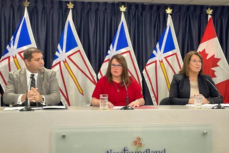 Pay equity consultations underway in Newfoundland and Labrador