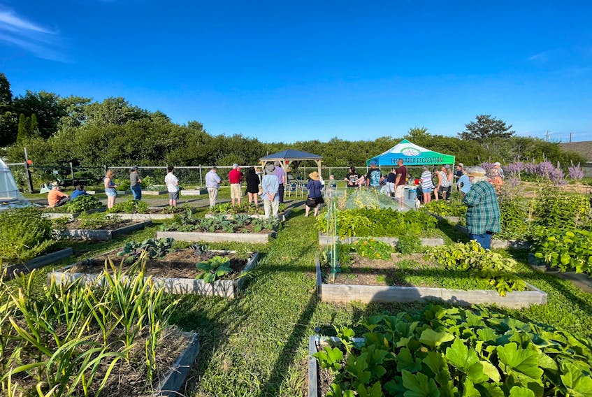 People gather in the Digby Community Garden for an event. The Digby and Area Community Gardens Society is partnering with the Digby Elementary School starting this spring on a new program that will have students gaining knowledge and experience growing their own food. CONTRIBUTED