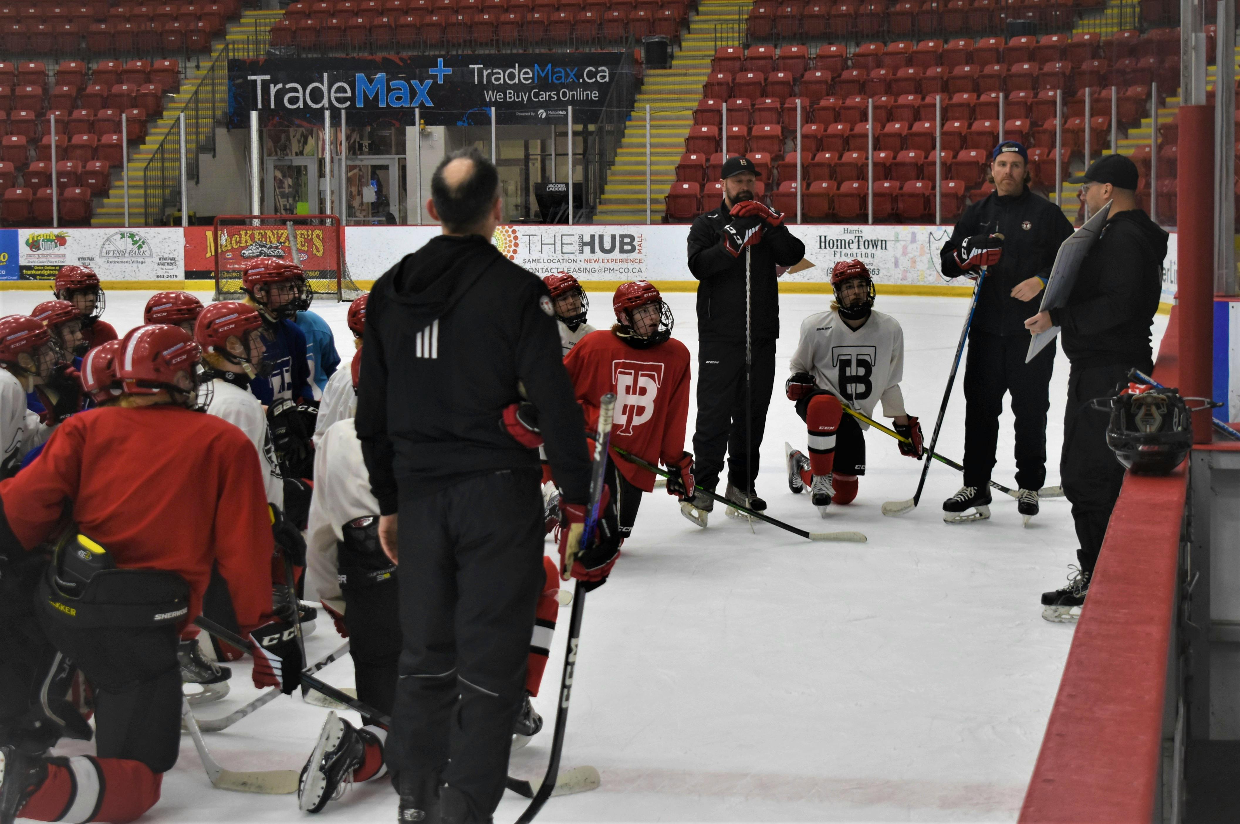 Buy Backyard Hockey-Rink Netting Online