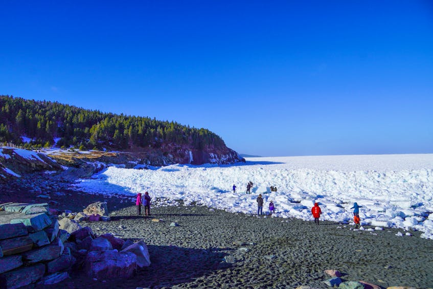 Vineeth Nayath Goplan shared this photo of the drift ice, or ice clampers, packed into Middle Cove Beach, N.L., on Monday. -Contributed
