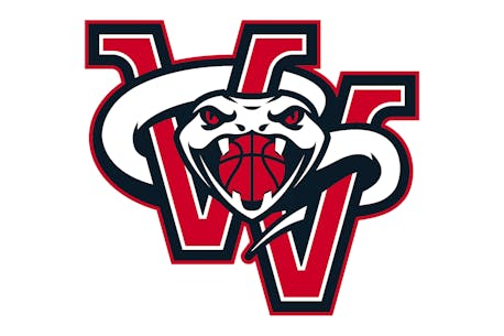 California native to coach Valley Vipers in first Eastern Canadian Basketball League season