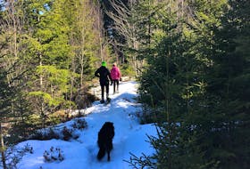 We receive health benefits whenever we go to enjoy forest trails near and far. Contributed