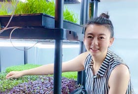 Kalie Wang uses her knowledge of growing indoor microgreens using hydroponics and aeroponic systems to teach the next generation about food sustainability. - Contributed