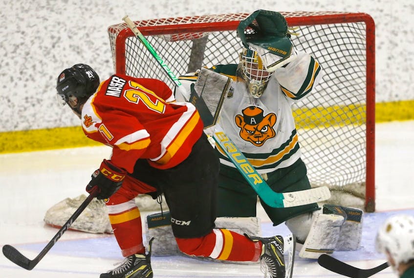 University of Calgary Dinos' Josh Maser battles University of Alberta Golden Bears goalie Ethan Kruger in the Canada West championships at Father David Bauer Arena in Calgary on March 3, 2023.