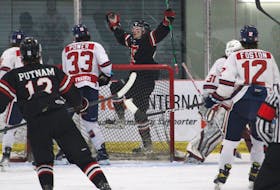 Truro Bearcats forward Sam Archibald, centre, celebrates his first period goal in Game 2 of the team's playoff series with the Valley Wildcats March 20 in Berwick.