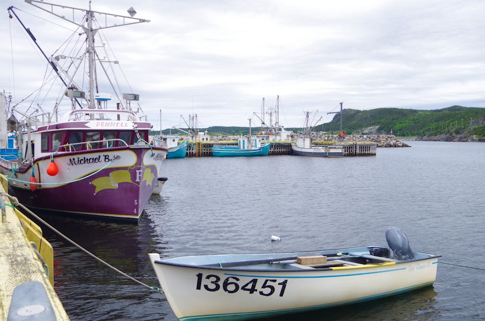 UPDATE: Concerned Newfoundland snow crabbers planning protest at DFO  offices in St. John's Wednesday morning, March 22