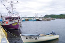 The 3L inshore crab fishing fleet involves boats like these longliners in Summerville, Bonavista Bay, boats 30-40 ft long fishing up to 25 miles from shore. There are about 500 crab licence holders in this fleet.
