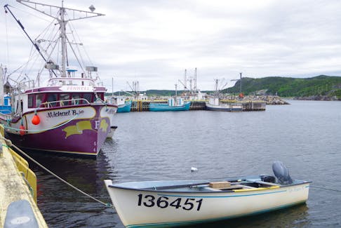 The 3L inshore crab fishing fleet involves boats like these longliners in Summerville, Bonavista Bay, boats 30-40 ft long fishing up to 25 miles from shore. There are about 500 crab licence holders in this fleet.