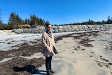 Lucy Hendrixson is helping to organize a public meeting this weekend for people concerned about a large sea wall being built just east of Crescent Beach.