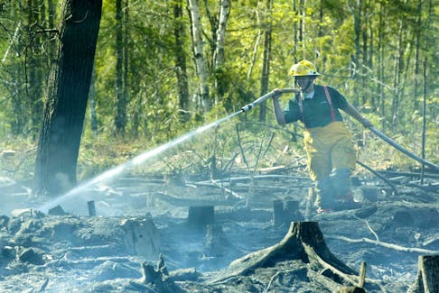 BRUSH FIRE AT CARROLLS CORNER- A volunteer firefighter hose down hotspots in the woods at Carrolls Corner Monday.
