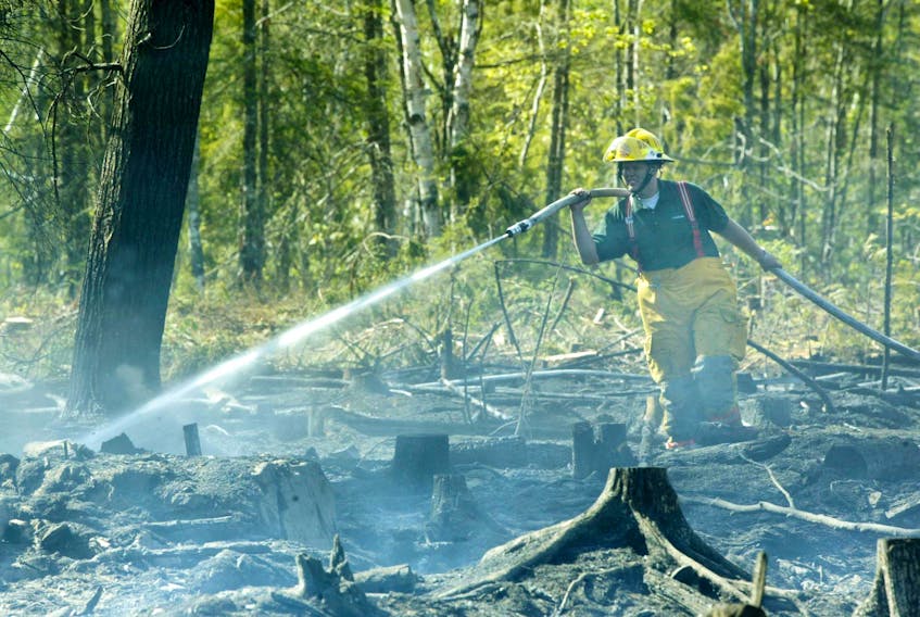 BRUSH FIRE AT CARROLLS CORNER- A volunteer firefighter hose down hotspots in the woods at Carrolls Corner Monday.