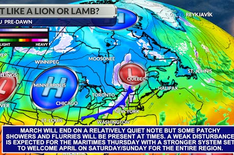 ALLISTER AALDERS: Lamb or lion-like? How March will end weather-wise