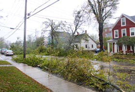 About 5,000 city-owned trees fell during post-tropical storm Fiona, which hit the province on Sept 23-24. Rafe Wright
