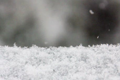 ASK ALLISTER: What’s the difference between snow flurries and snow showers?