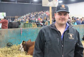 Colby Macquarrie's steer sold for $14.50 per pound at the 2023 Easter Beef show and sale, where his steer was awarded grand champion of the show. George Melitides • The Guardian
