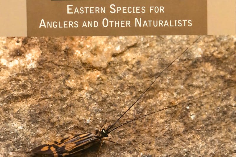 Columnist Paul Smith is reading “Caddisflies: A Field Guide to Eastern Species for Anglers and Other Naturalists” by Thomas Ames Jr. to improve his match-the-hatch game. Contributed photo