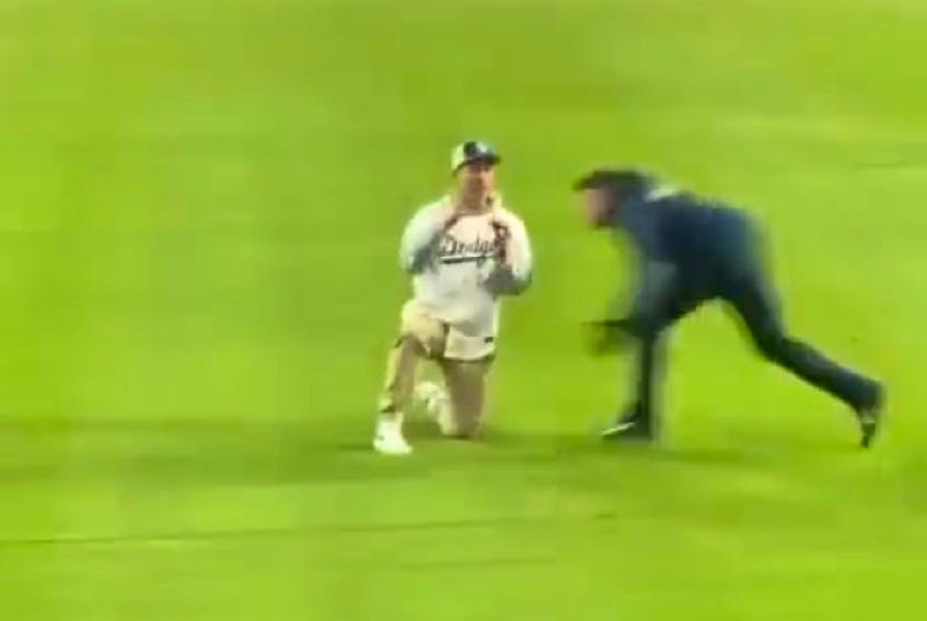 Dodgers fan gets obliterated by security after bold marriage  proposal-gone-wrong | SaltWire