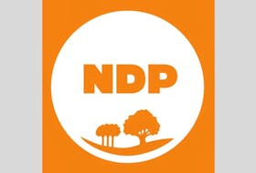 Island New Democrat party leader, Michelle Neill, has announced four new candidates who will be running in the upcoming provincial election.