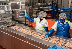 Workers in a salmon factory in Atlantic Canada. FILE photo