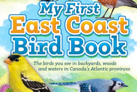 My First East Coast Bird Book