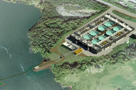 Cooke Aquaculture's $72-million New Brunswick fish tanks will allow salmon to 'spend less time in ocean cages and more time growing on the farm'