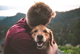 Dog lovers know all too well how uplifting to their spirit an interaction with a faithful pooch can be. Eric Ward/Unsplash