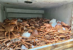 Crabs chills on board a boat until it can be landed.