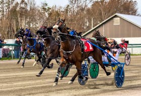 In this file photo, Mando Fun (No. 1) and driver Ryan Campbell withstood a host of challengers in the stretch drive to capture a feature at Northside Downs in 1:58.1 in North Sydney. The 2023 harness racing season will begin Saturday at Northside Downs. CONTRIBUTED/TANYA ROMEO