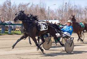 A Better Man, No. 3 and driver Gerard Kennedy, rallied up the inside in the stretch to take the opening day feature race at Northside Downs in 2:00 on Saturday afternoon in North Sydney. CONTRIBUTED/TANYA ROMEO