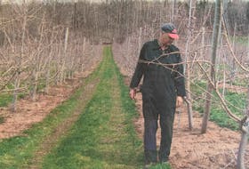 Centreville apple producer John Eisses, pictured examining early spring growth in 2008, was singing the praises of Honeycrisp apples and how its popularity was helping the apple industry.