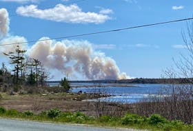 Smoke billows up from a wildfire in Little Harbour, Shelburne County on May 14, forcing the evacuation of homes and the closure of the West Sable River Road. Facebook