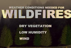 Hot temperatures, strong winds, low humidity and dry vegetation make for ideal conditions for wildfires to spark and spread.