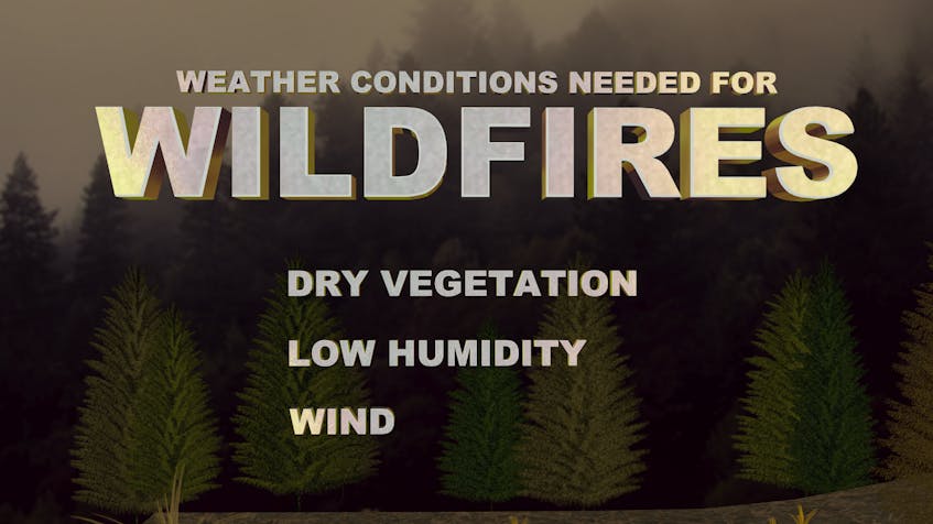 Hot temperatures, strong winds, low humidity and dry vegetation make for ideal conditions for wildfires to spark and spread.