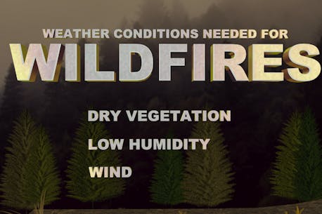 ALLISTER AALDERS: Spring weather can provide perfect fuel for wildfires